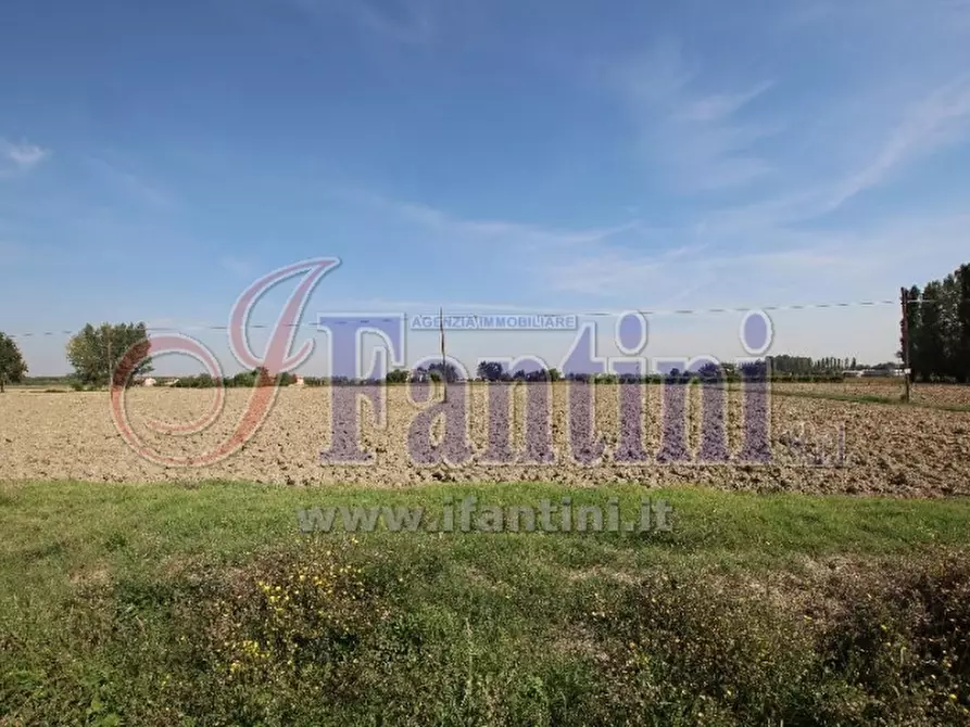 Immagine 2 di Terreno agricolo in vendita  in VIA ZACCARELLI a Sala Bolognese