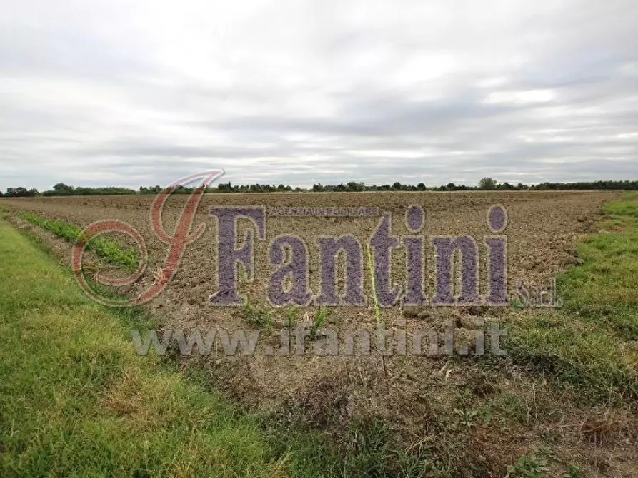 Immagine 1 di Terreno agricolo in vendita  in VIA PUNTA 13 a Calderara Di Reno