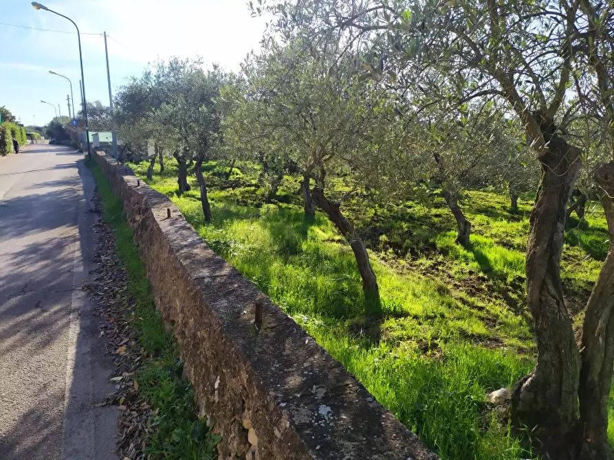 Immagine 5 di Terreno residenziale in vendita  a Sassari