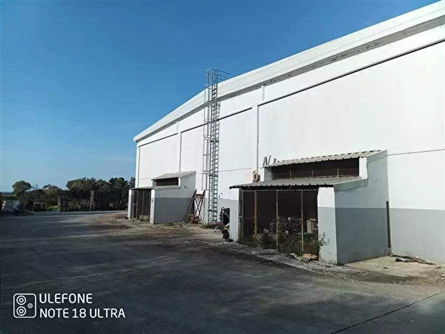 Immagine 14 di Capannone industriale in affitto  in loc. punta e mulinu, 24, a Usini