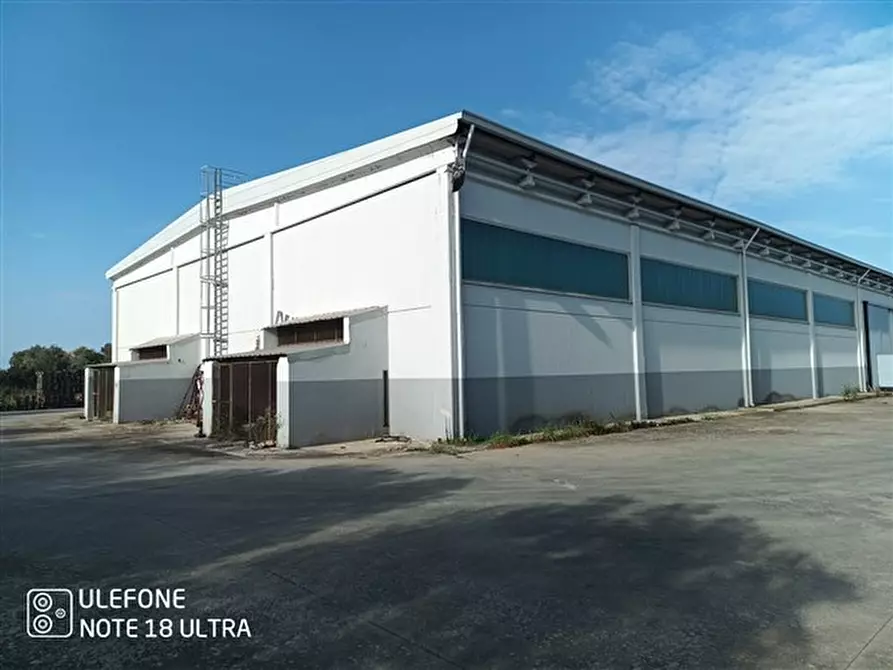 Immagine 22 di Capannone industriale in affitto  in loc. punta e mulinu, 24, a Usini