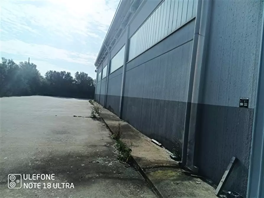 Immagine 4 di Capannone industriale in affitto  in loc. punta e mulinu, 24, a Usini