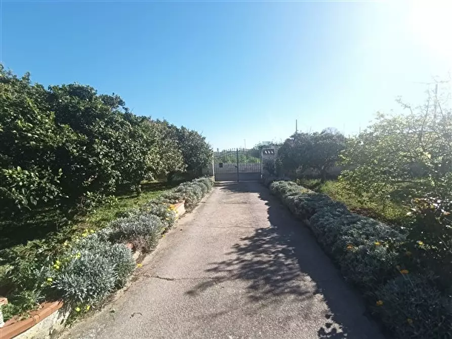Immagine 34 di Casa indipendente in vendita  a Sassari
