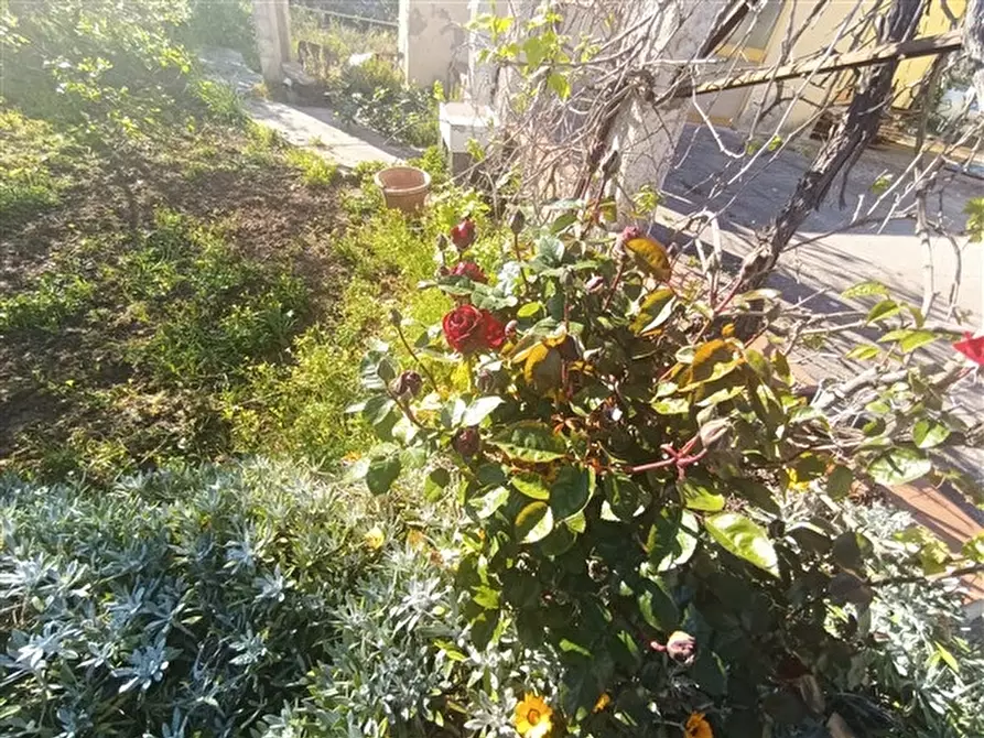 Immagine 33 di Casa indipendente in vendita  a Sassari