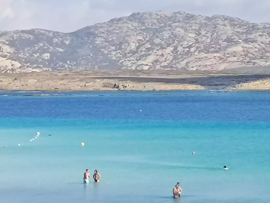 Immagine 36 di Appartamento in vendita  in RESIDENCE IL MIRTO via Biggiu Marinu, 15 a, a Stintino