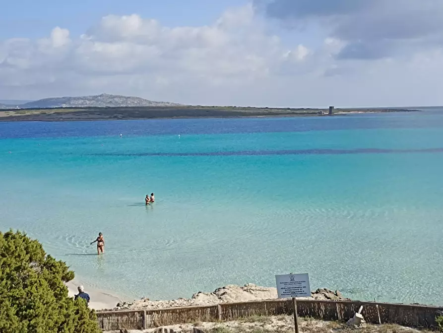 Immagine 37 di Appartamento in vendita  in RESIDENCE IL MIRTO via Biggiu Marinu, 15 a, a Stintino