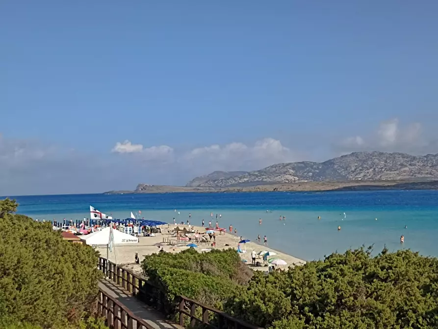 Immagine 38 di Appartamento in vendita  in RESIDENCE IL MIRTO via Biggiu Marinu, 15 a, a Stintino