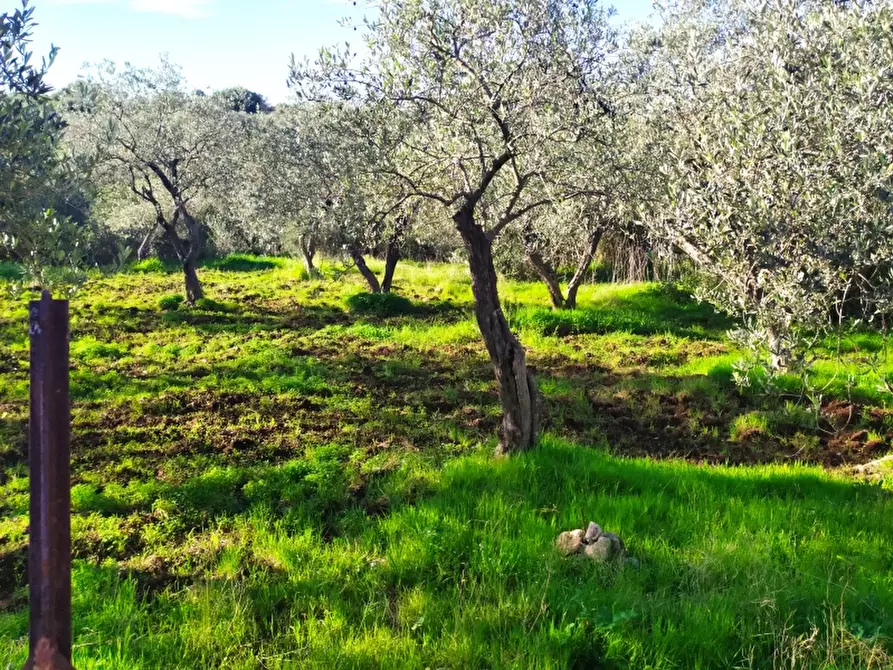 Immagine 9 di Terreno residenziale in vendita  a Sassari