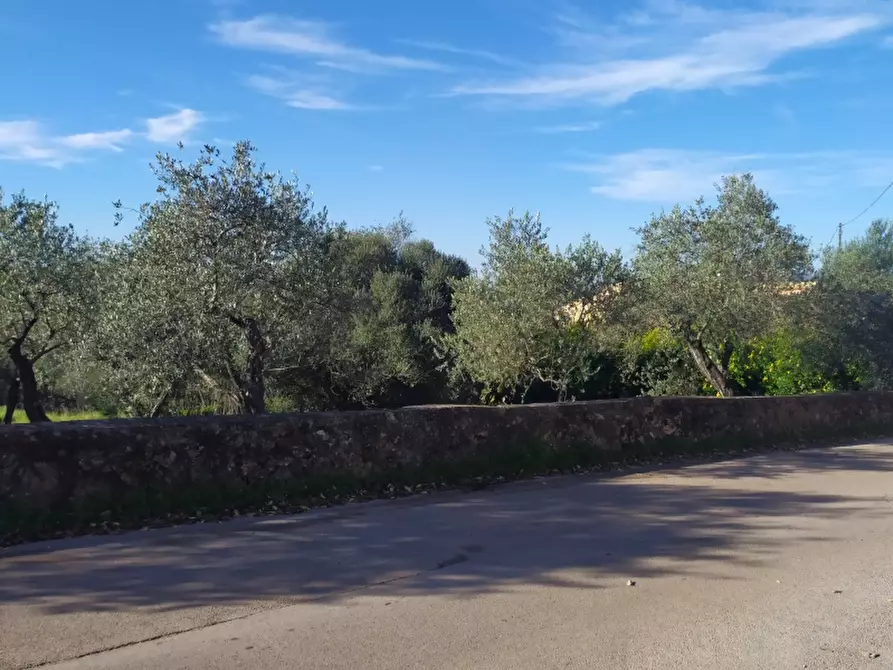 Immagine 14 di Terreno residenziale in vendita  a Sassari