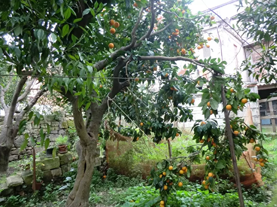 Immagine 23 di Casa indipendente in vendita  in Via Sassari a Ittiri