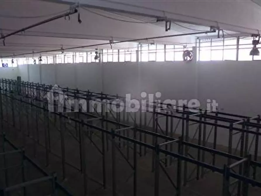 Immagine 7 di Capannone industriale in vendita  in Zona Industriale a Sestu