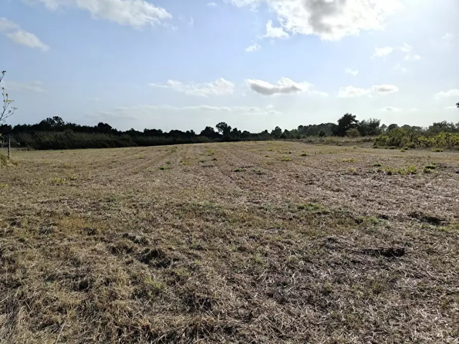 Immagine 1 di Terreno agricolo in vendita  in La Rucchetta a Alghero