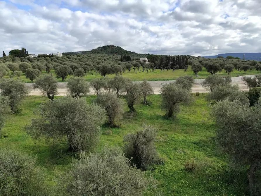Immagine 20 di Villetta a schiera in vendita  in Via Valverde a Alghero