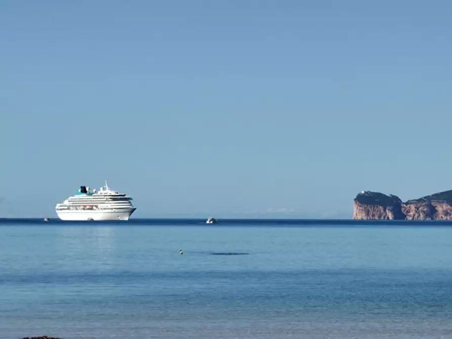 Immagine 1 di Appartamento in vendita  a Alghero