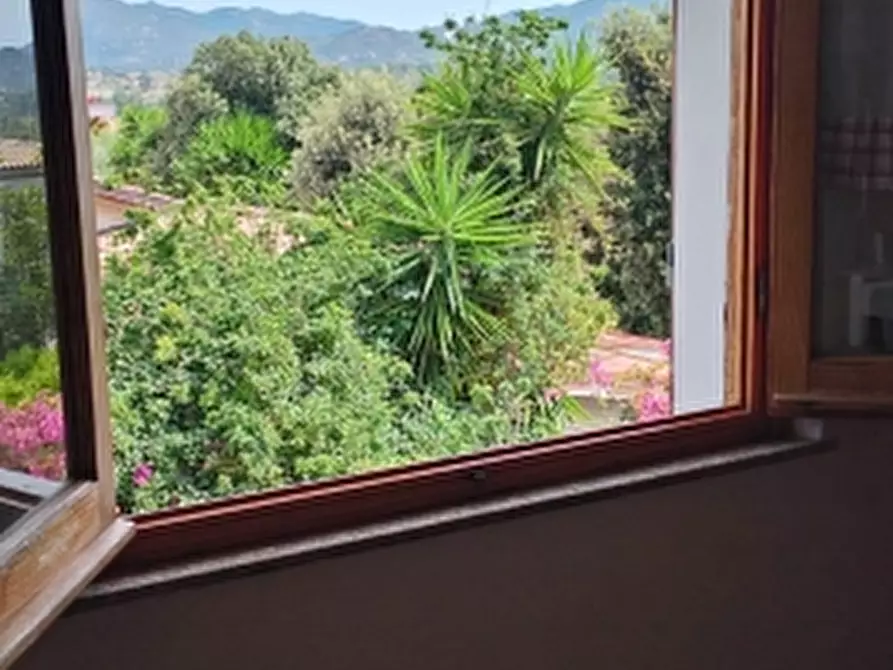 Immagine 20 di Villa in vendita  in Via Sassari a Irgoli