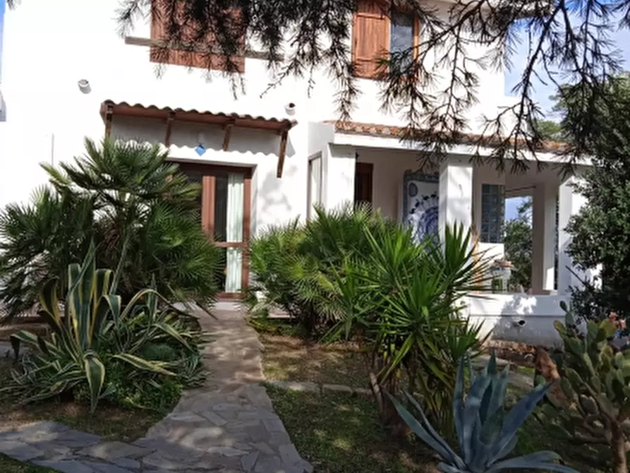 Immagine 19 di Villa in vendita  in Via Sassari a Irgoli