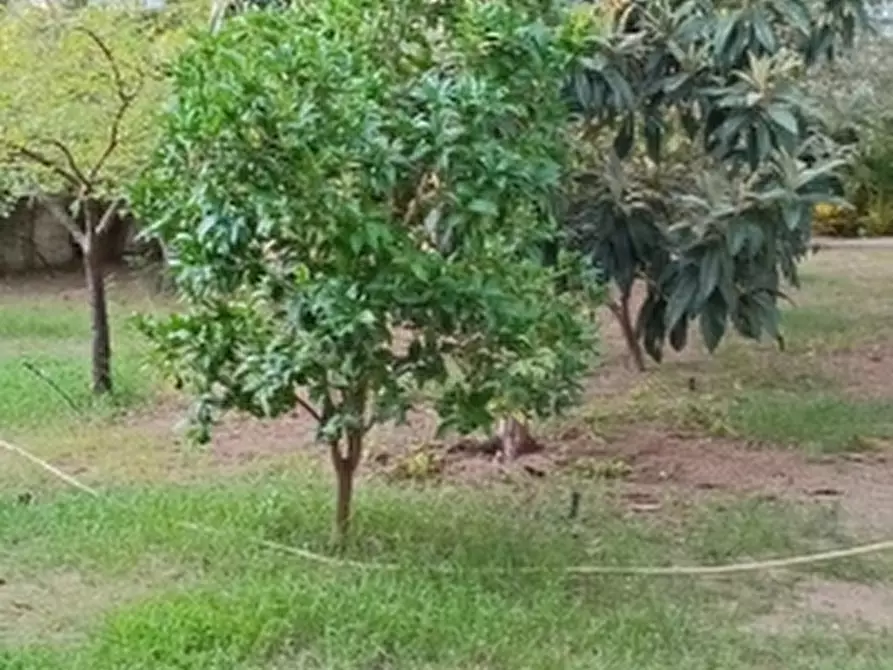 Immagine 33 di Villa in vendita  in Via Sassari a Irgoli