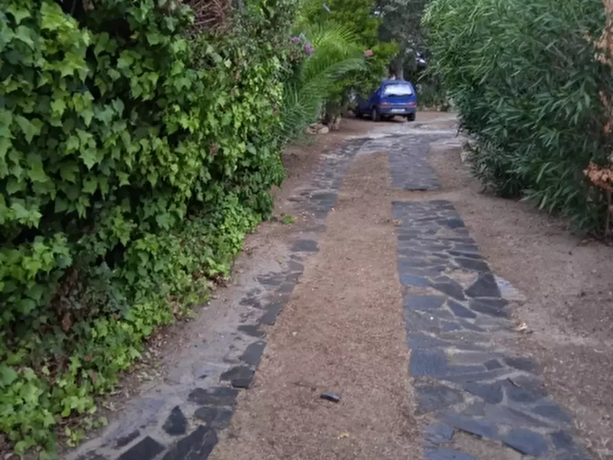 Immagine 35 di Villa in vendita  in Via Sassari a Irgoli