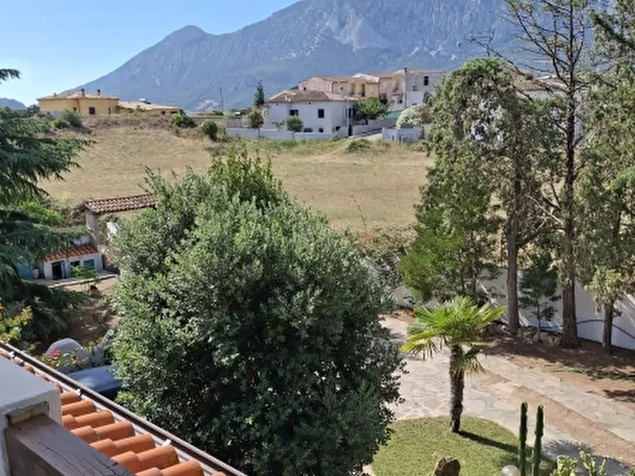 Immagine 36 di Villa in vendita  in Via Sassari a Irgoli