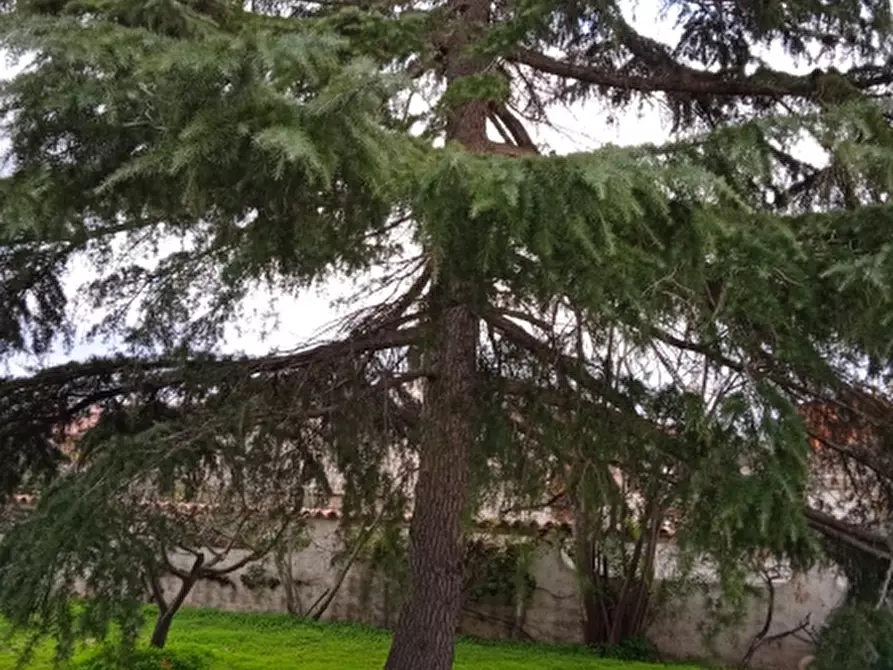 Immagine 38 di Villa in vendita  in Via Sassari a Irgoli