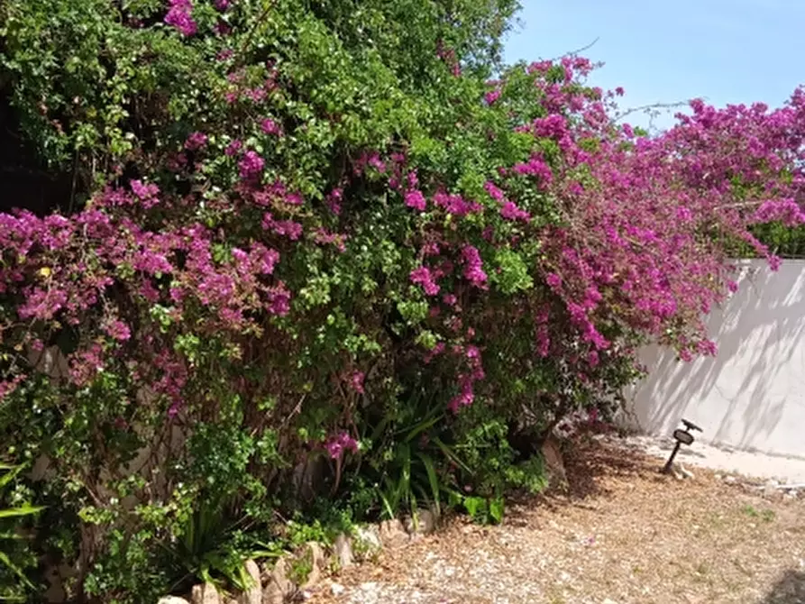 Immagine 25 di Villa in vendita  in Via Sassari a Irgoli