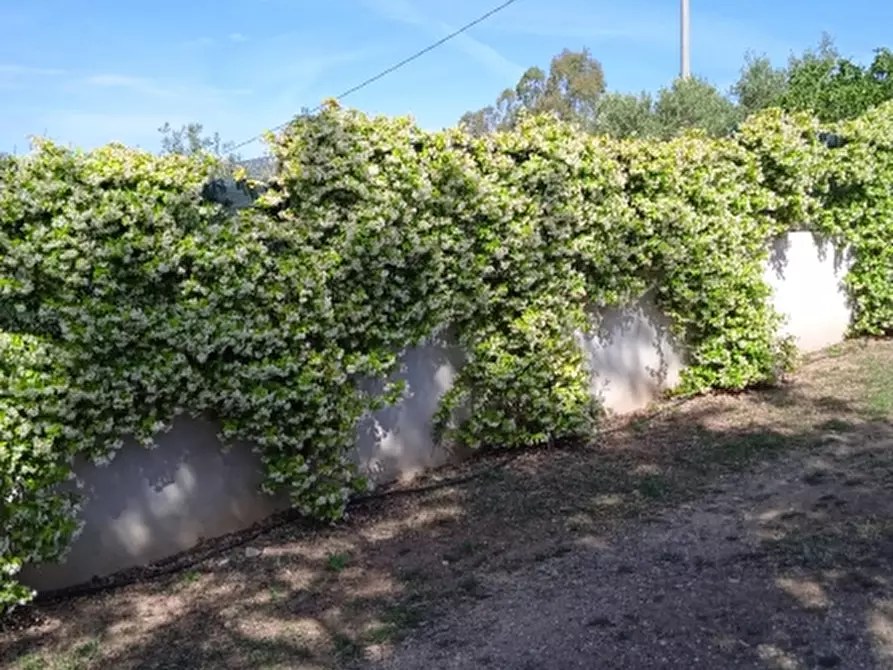 Immagine 26 di Villa in vendita  in Via Sassari a Irgoli