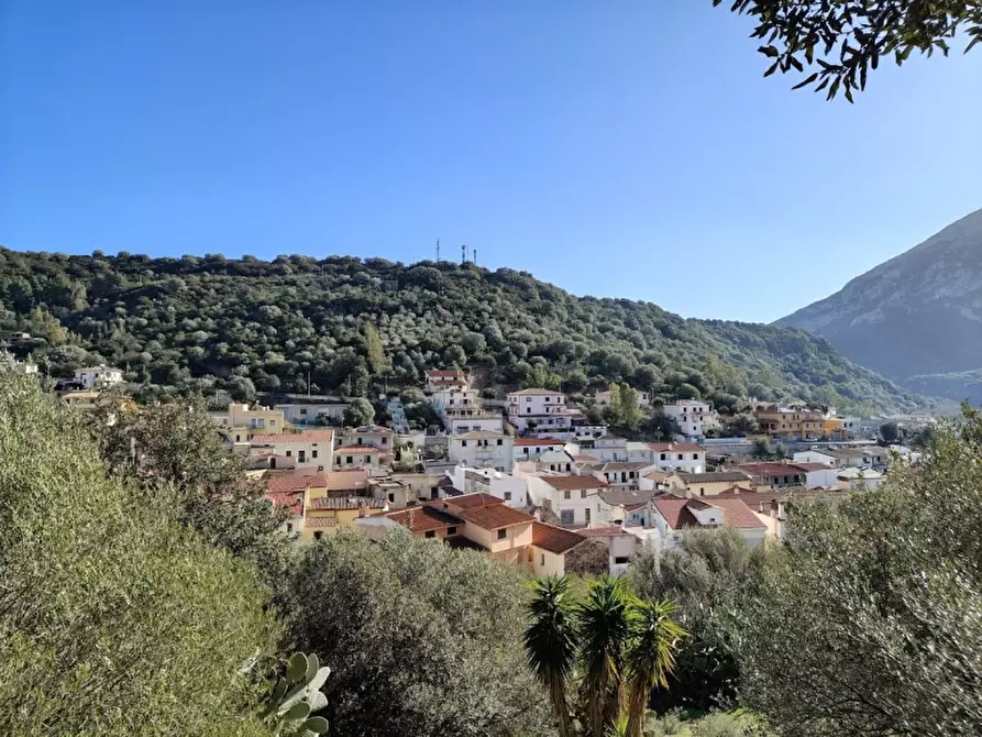 Immagine 16 di Appartamento in vendita  in Via San Giorgio 11 a Onifai