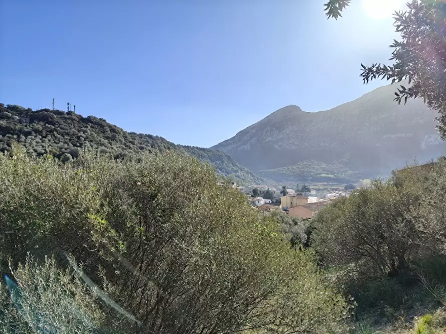 Immagine 17 di Appartamento in vendita  in Via San Giorgio 11 a Onifai