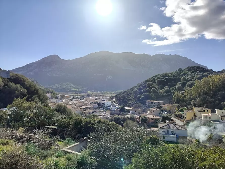 Immagine 18 di Appartamento in vendita  in Via San Giorgio 11 a Onifai