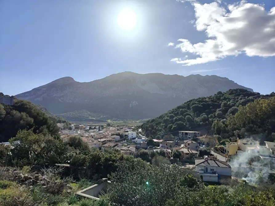 Immagine 19 di Appartamento in vendita  in Via San Giorgio 11 a Onifai