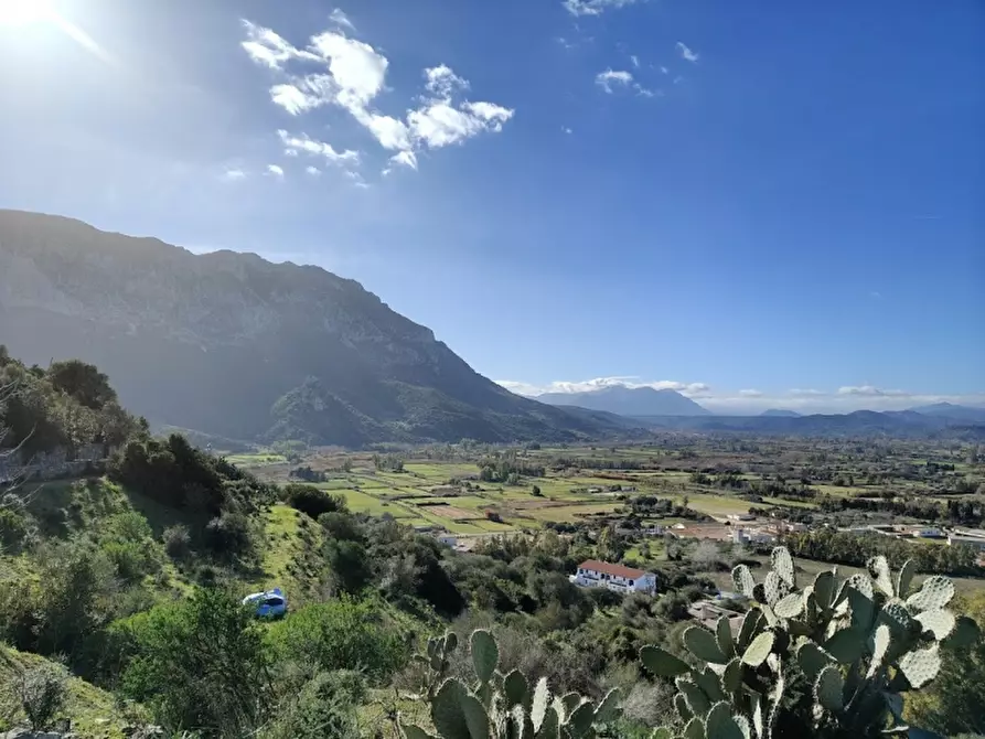 Immagine 20 di Appartamento in vendita  in Via San Giorgio 11 a Onifai