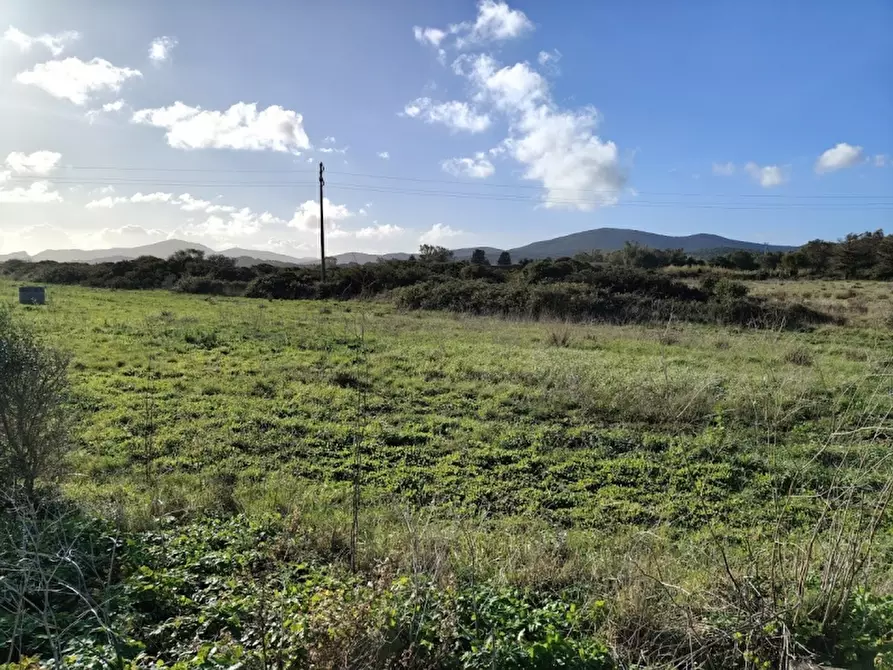 Immagine 3 di Terreno agricolo in vendita  in Via Cargeghe a Sassari