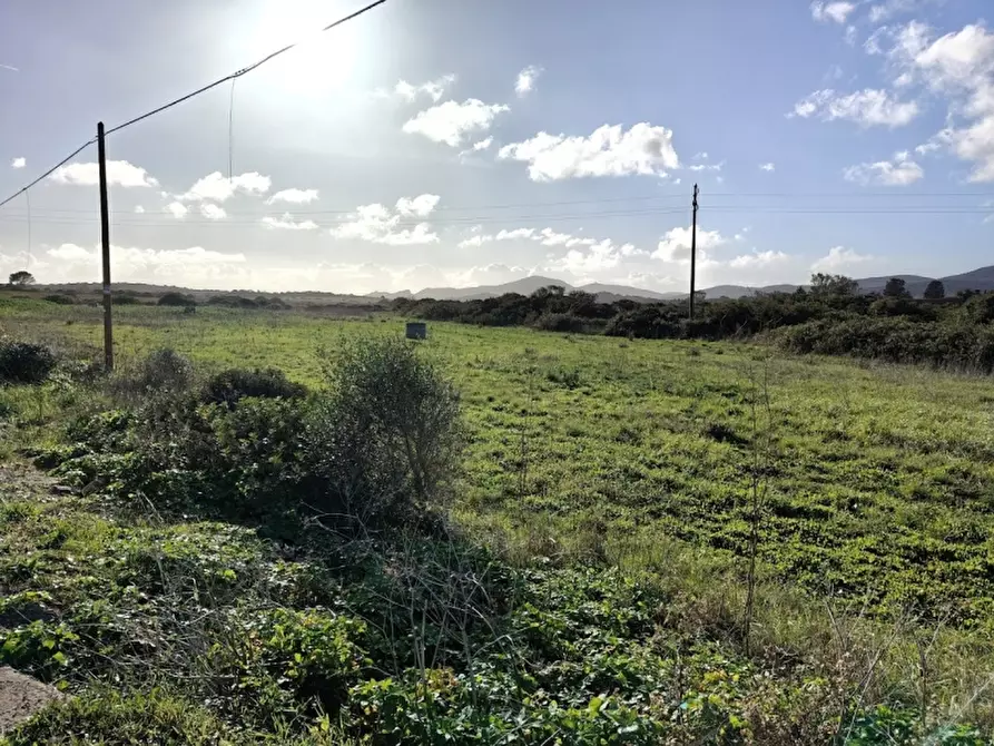 Immagine 4 di Terreno agricolo in vendita  in Via Cargeghe a Sassari