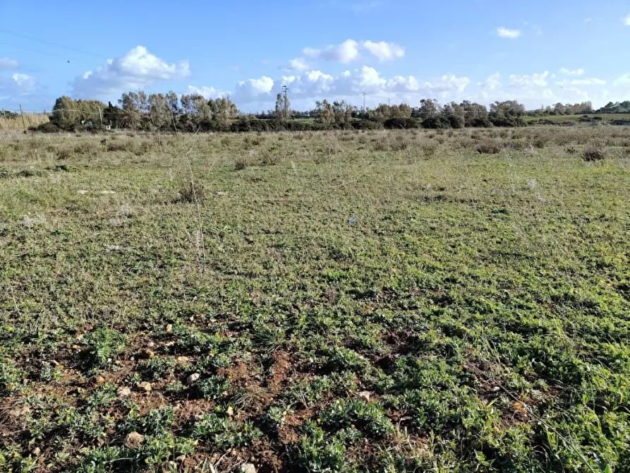 Immagine 5 di Terreno agricolo in vendita  in Via Cargeghe a Sassari