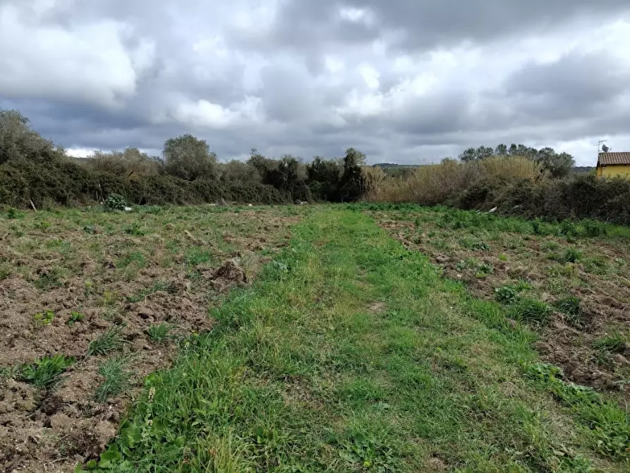 Immagine 12 di Monolocale in vendita  a Alghero