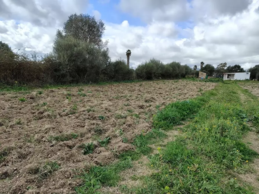 Immagine 11 di Monolocale in vendita  a Alghero