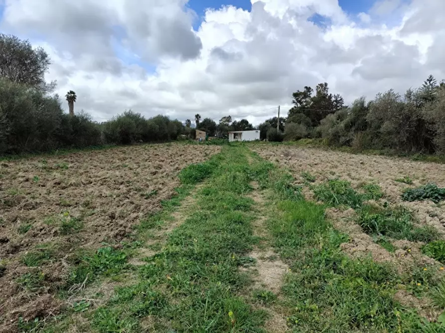 Immagine 10 di Monolocale in vendita  a Alghero