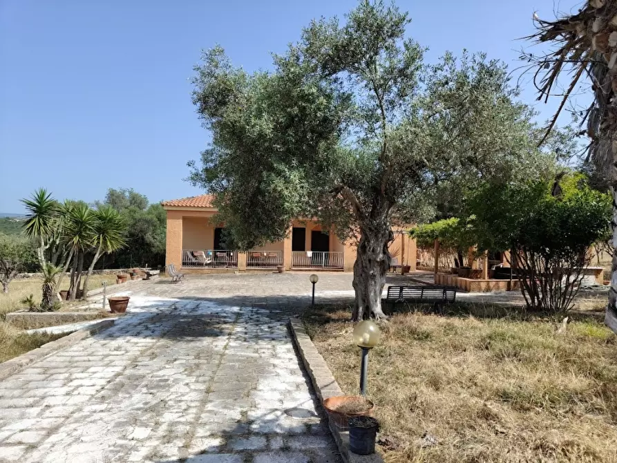 Immagine 2 di Appartamento in vendita  in Carrabuffas a Alghero