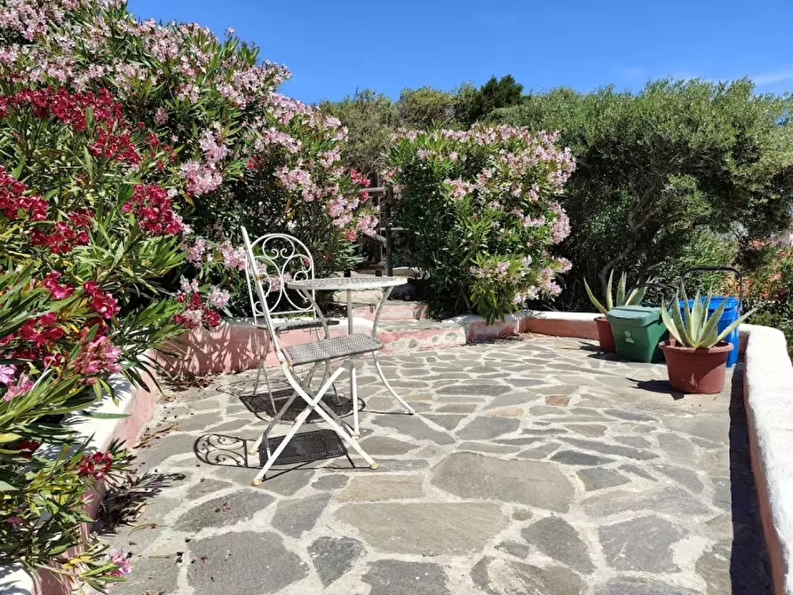 Immagine 12 di Appartamento in vendita  a Stintino