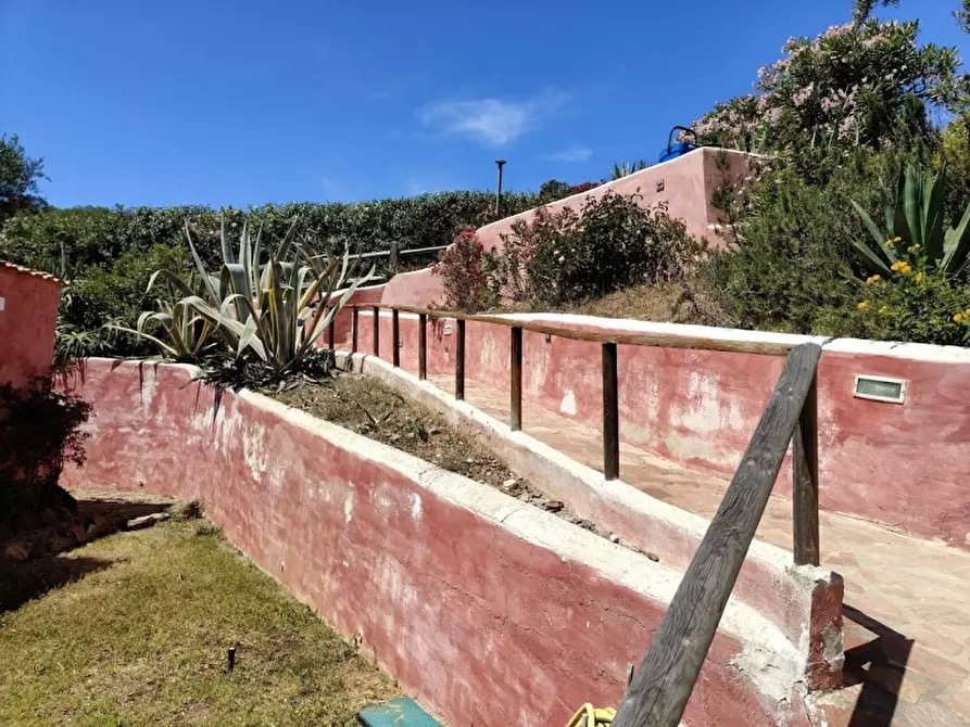 Immagine 11 di Appartamento in vendita  a Stintino