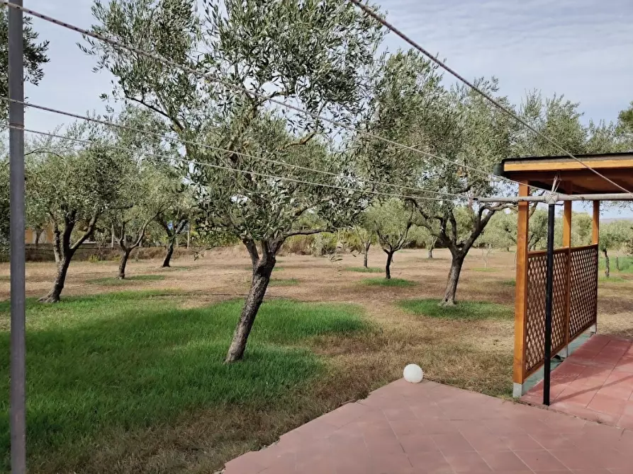 Immagine 8 di Appartamento in vendita  in Localita' Mamuntanas a Alghero