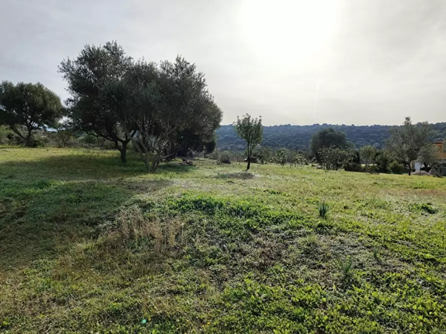 Immagine 40 di Villa in vendita  in localita' Matteattu a Alghero