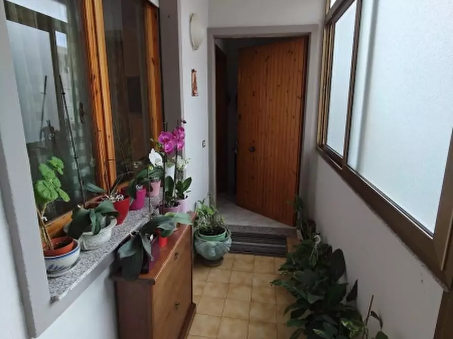 Immagine 6 di Appartamento in vendita  in Via Miquel Chessa 19 a Alghero