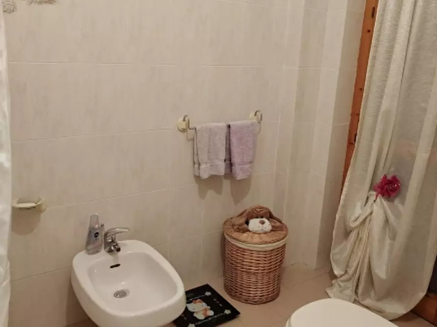 Immagine 17 di Appartamento in vendita  a Sassari