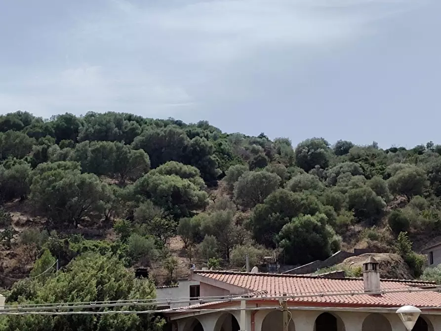 Immagine 24 di Appartamento in vendita  a Onifai
