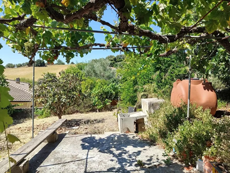 Immagine 23 di Casa indipendente in vendita  a Laerru
