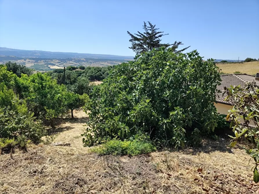 Immagine 24 di Casa indipendente in vendita  a Laerru