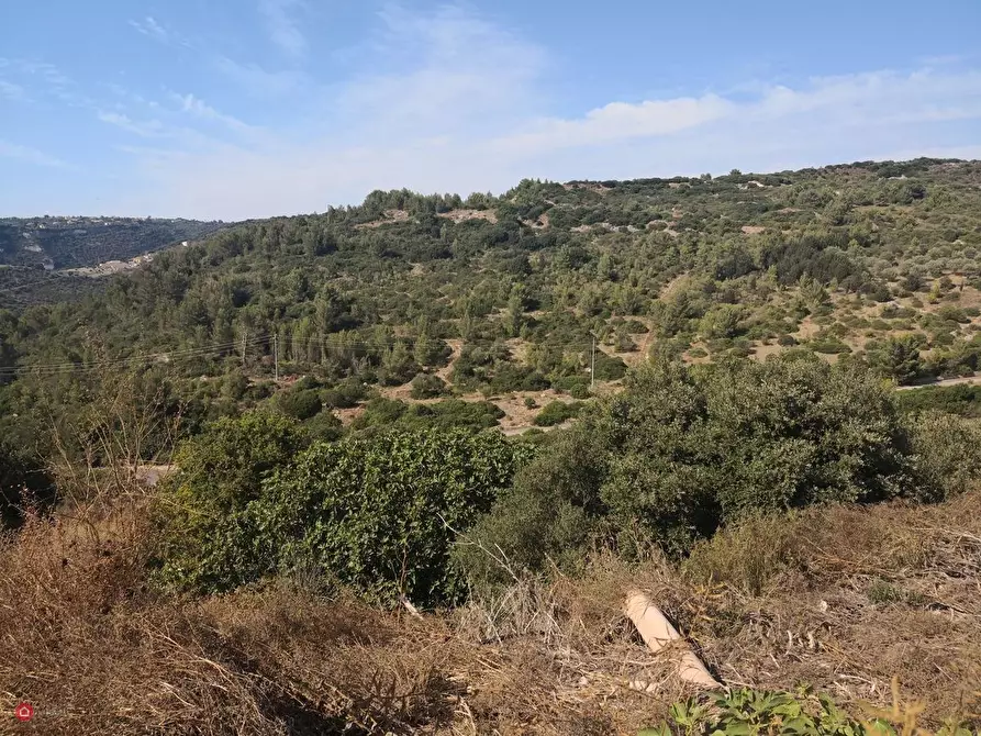 Immagine 32 di Casa indipendente in vendita  a Muros