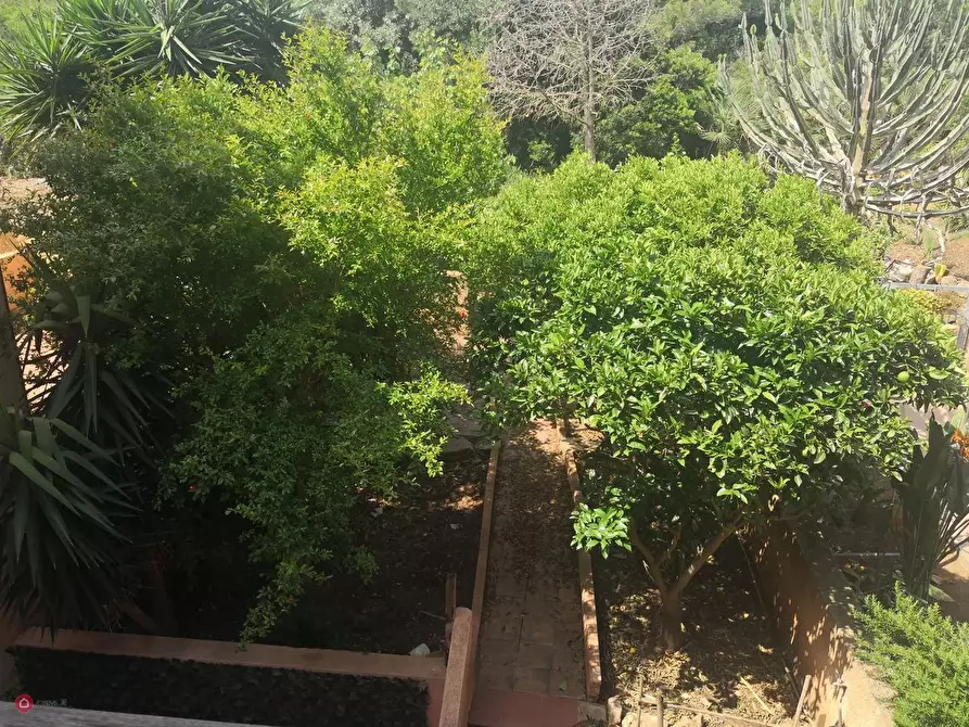 Immagine 14 di Villetta a schiera in vendita  in Via Dell'Elicriso a Alghero