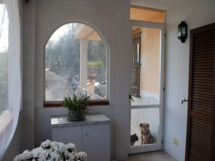 Immagine 4 di Porzione di casa in vendita  a Pontedassio